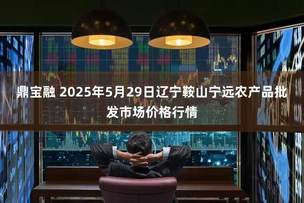 鼎宝融 2025年5月29日辽宁鞍山宁远农产品批发市场价格行情