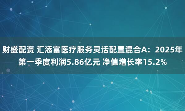财盛配资 汇添富医疗服务灵活配置混合A：2025年第一季度利润5.86亿元 净值增长率15.2%