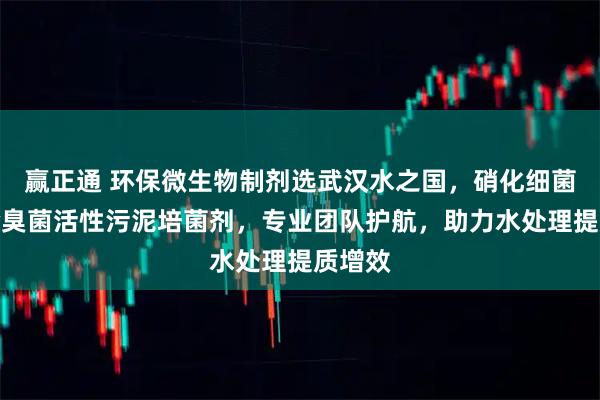 赢正通 环保微生物制剂选武汉水之国，硝化细菌脱硫除臭菌活性污泥培菌剂，专业团队护航，助力水处理提质增效